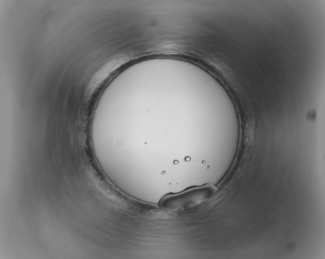 X0000113181410200909251430