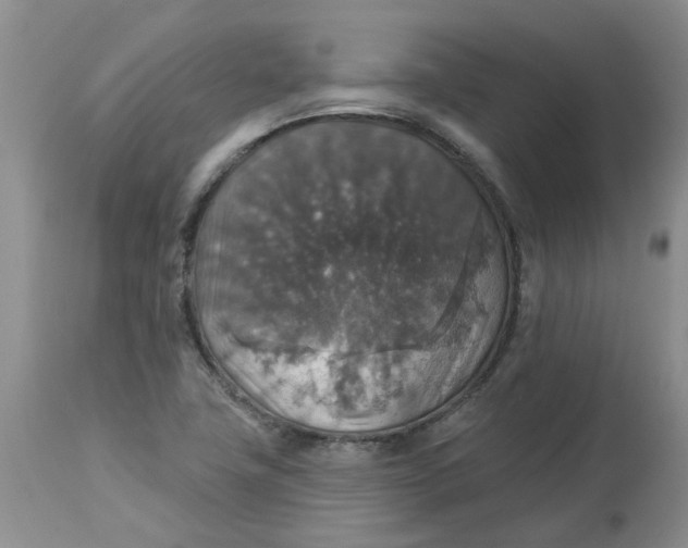 X0000113181411200909251430