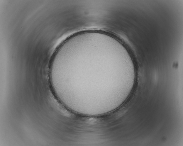 X0000113181412200909251430