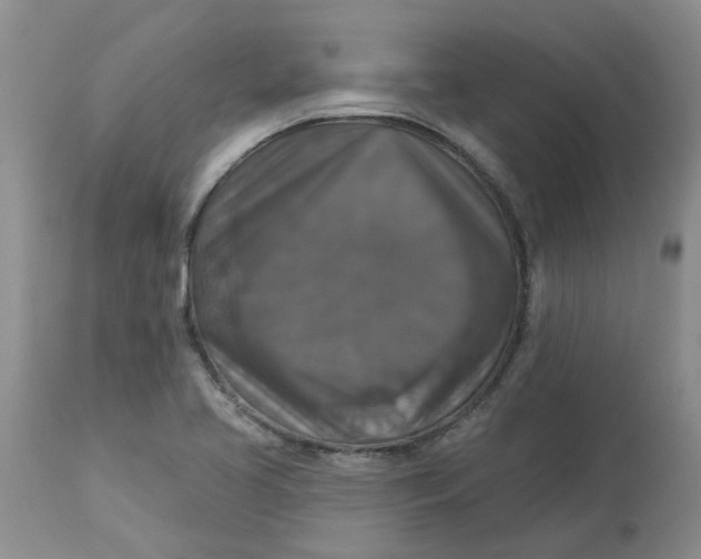 X0000113181413200909251430