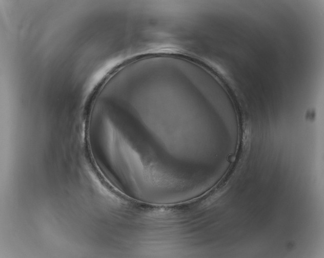 X0000113181414200909251430