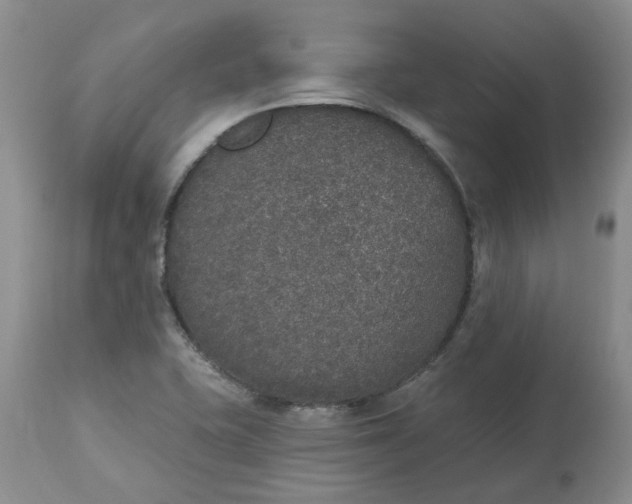 X0000113181415200909251430