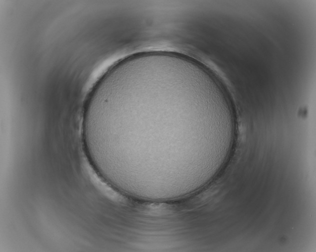 X0000113181416200909251430