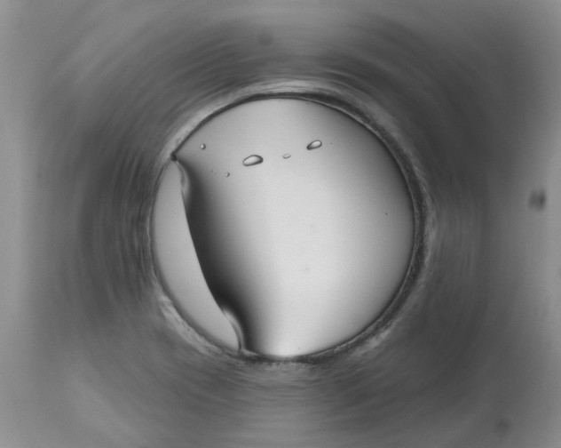 X0000113181417200909251430