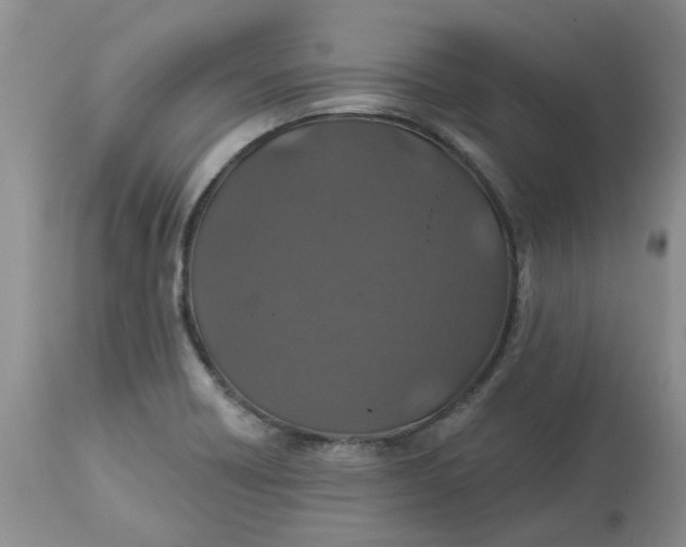 X0000113181418200909251430