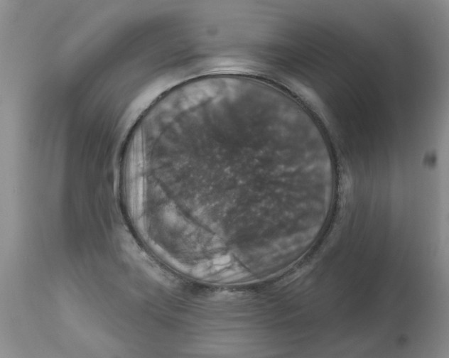 X0000113181419200909251430