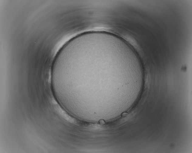 X0000113181420200909251430