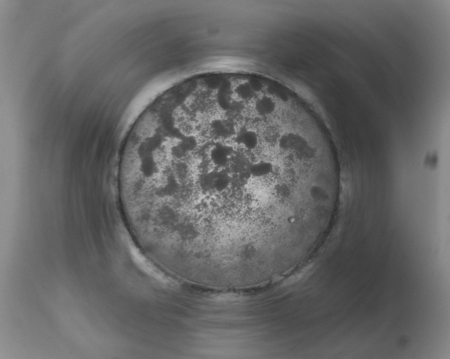 X0000113181421200909251430