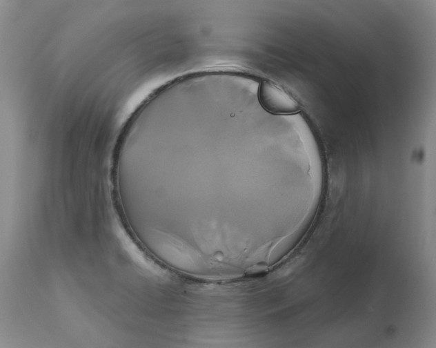 X0000113181422200909251430