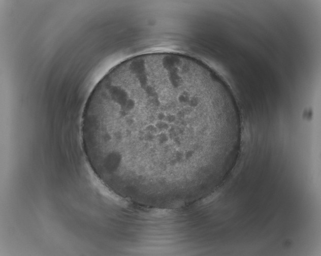 X0000113181423200909251430