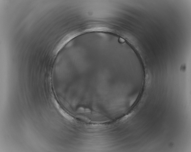 X0000113181425200909251430