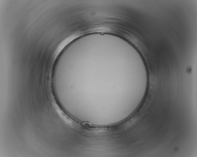 X0000113181426200909251430