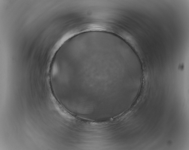 X0000113181427200909251430