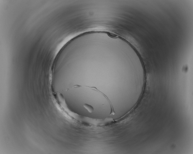 X0000113181428200909251430