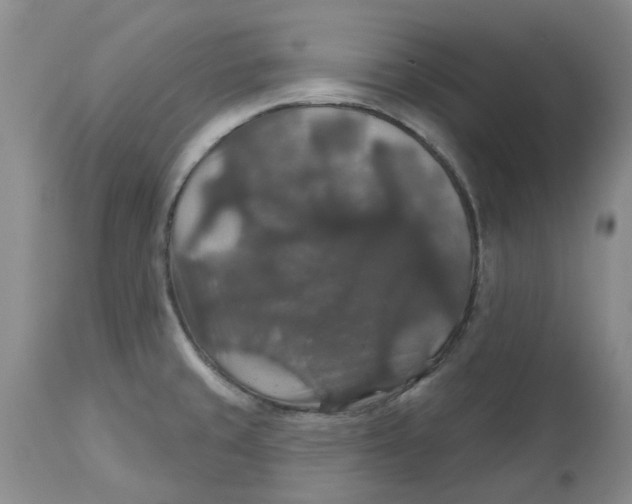 X0000113181429200909251431