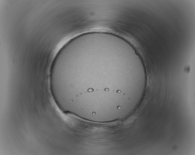 X0000113181430200909251431