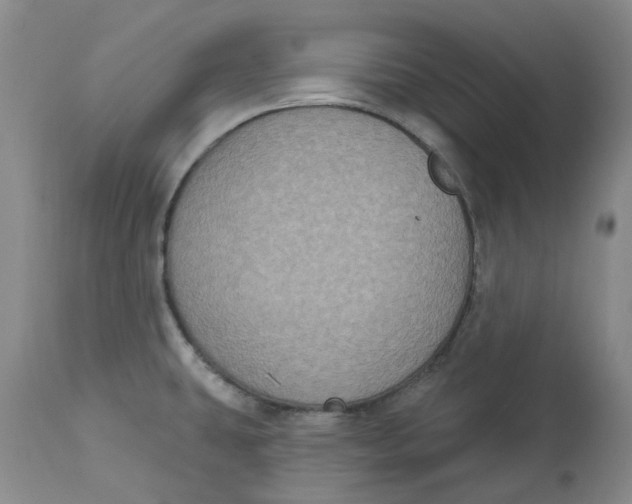 X0000113181431200909251431