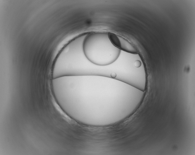 X0000113181432200909251431