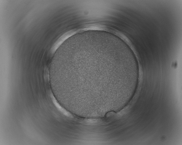 X0000113181433200909251431