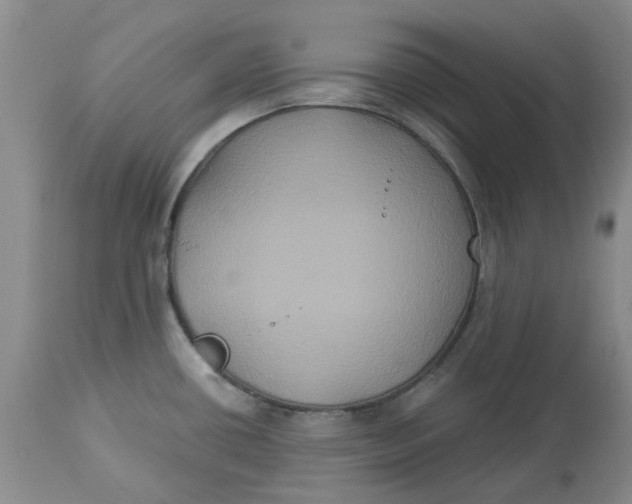 X0000113181434200909251431