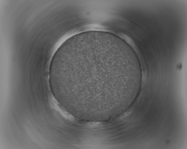 X0000113181435200909251431