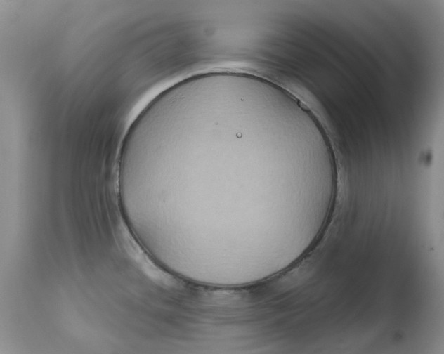 X0000113181436200909251431