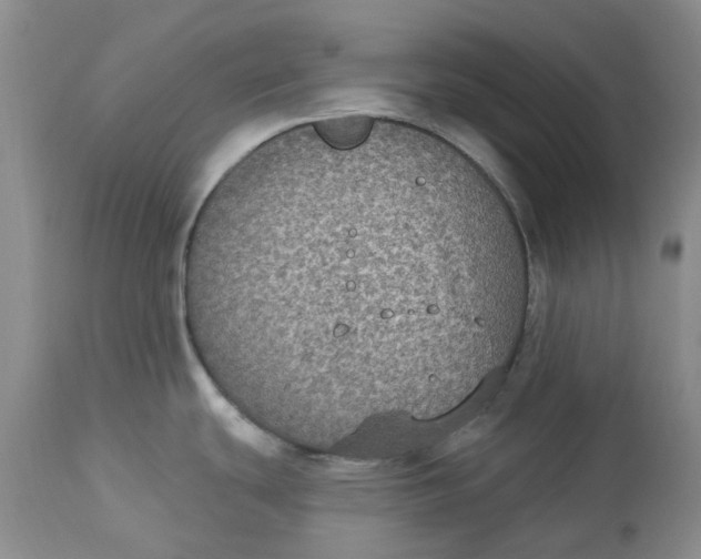 X0000113181439200909251431