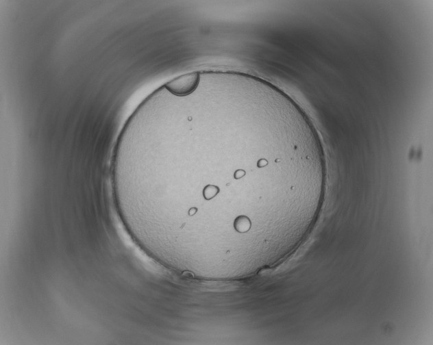 X0000113181440200909251431