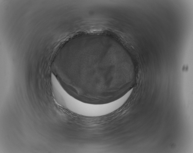 X0000113181441200909251430