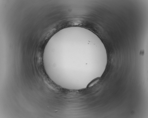 X0000113181442200909251430