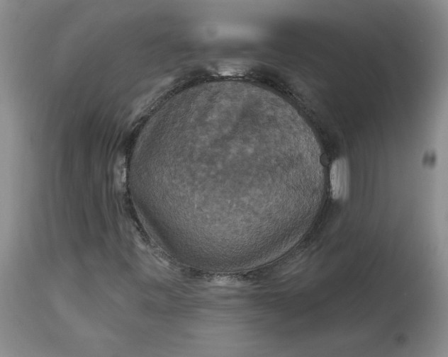 X0000113181443200909251430