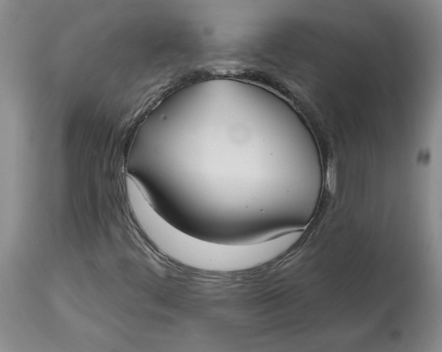 X0000113181444200909251430