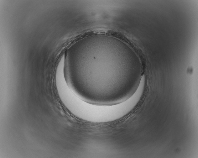 X0000113181445200909251430