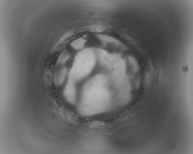 X0000113181446200909251430