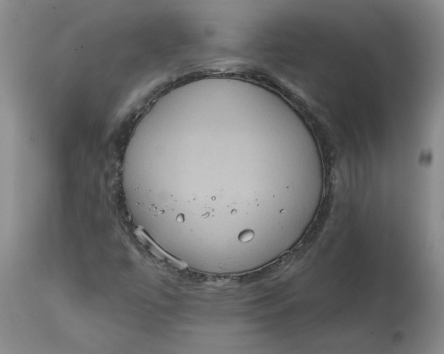 X0000113181447200909251430