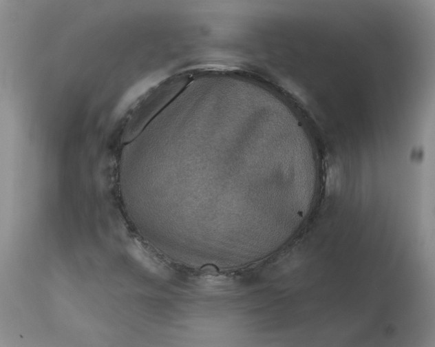 X0000113181448200909251430