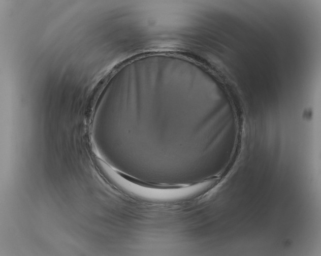 X0000113181449200909251430