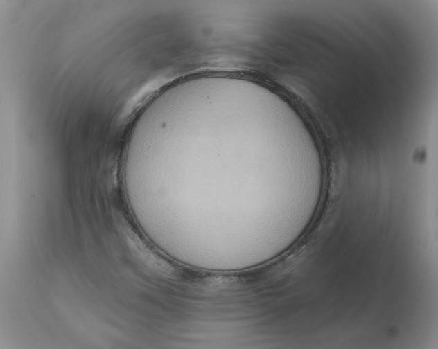 X0000113181451200909251430