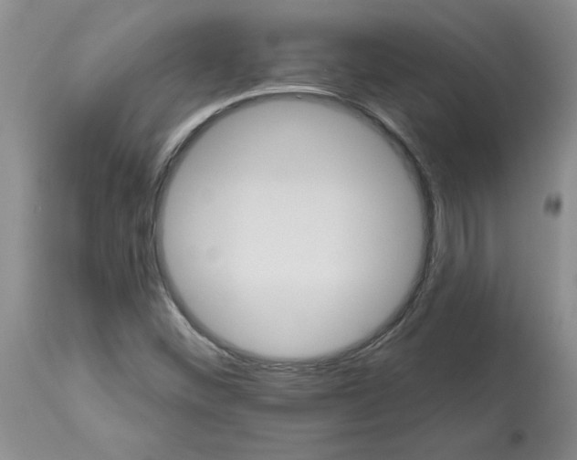 X0000113181452200909251430