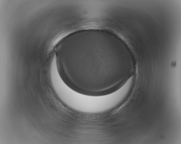 X0000113181453200909251430