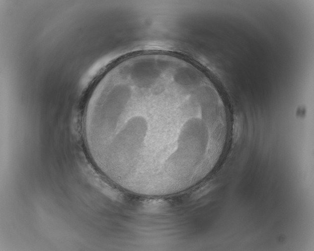 X0000113181454200909251430