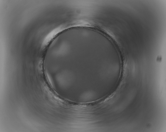 X0000113181455200909251430