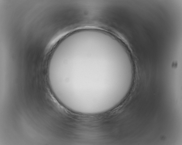 X0000113181456200909251430