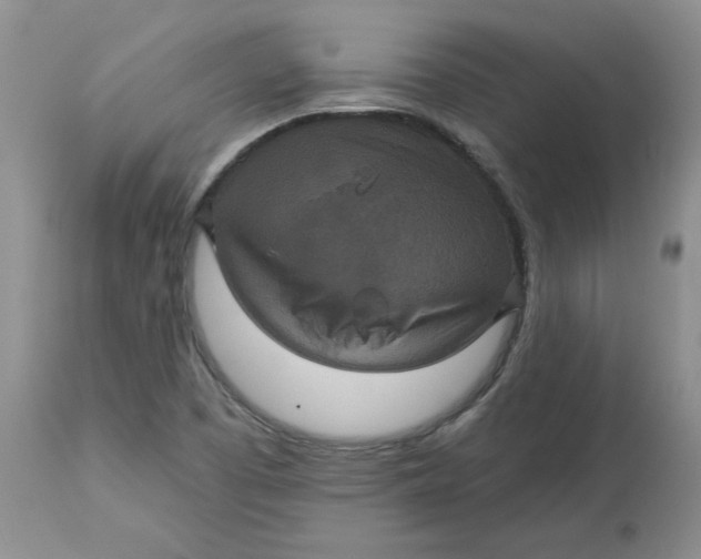 X0000113181457200909251430