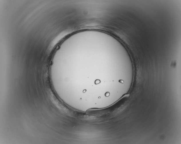 X0000113181458200909251430