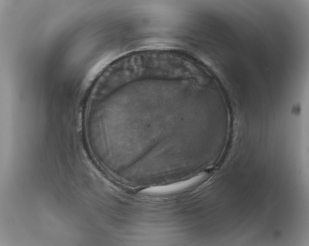 X0000113181459200909251430