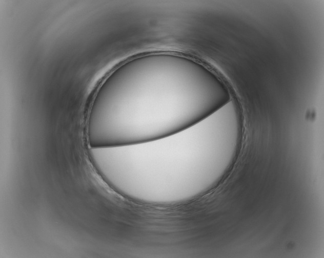 X0000113181460200909251430