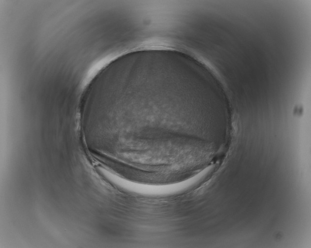 X0000113181461200909251430