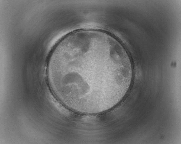 X0000113181462200909251430