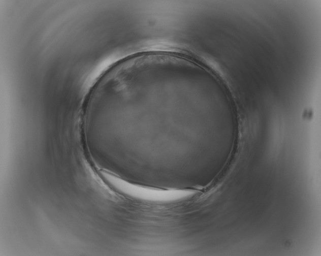 X0000113181463200909251430